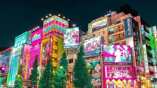音を聴き、味わい、整える街 ― 秋葉原